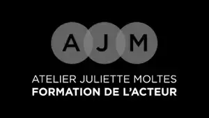 CG NümeriK logo Client AJM